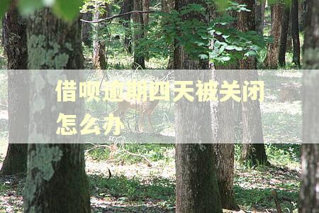 借呗逾期四天被关闭怎么办