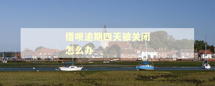 借呗逾期四天被关闭怎么办