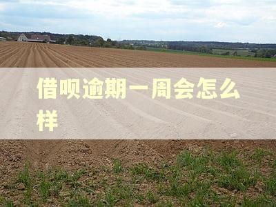 借呗逾期一周会怎么样