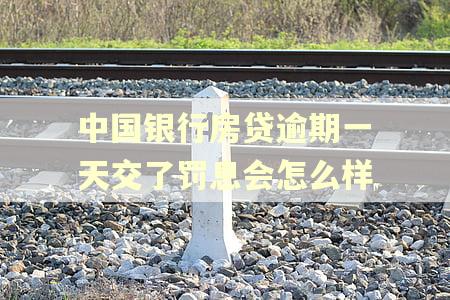 中国银行房贷逾期一天交了罚息会怎么样