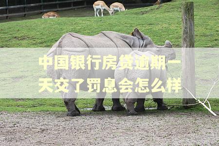 中国银行房贷逾期一天交了罚息会怎么样