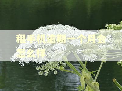 租手机逾期一个月会怎么样