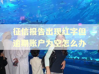 征信报告出现红字但逾期账户为空怎么办