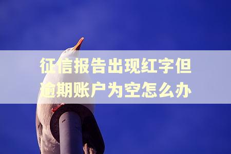 征信报告出现红字但逾期账户为空怎么办