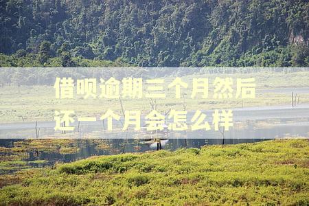 借呗逾期三个月然后还一个月会怎么样