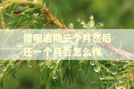 借呗逾期三个月然后还一个月会怎么样