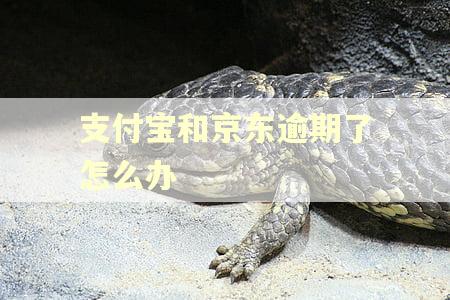 支付宝和京东逾期了怎么办