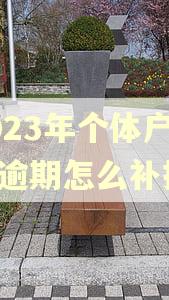 2023年个体户年报逾期怎么补报
