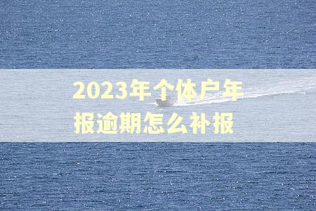 2023年个体户年报逾期怎么补报