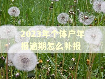 2023年个体户年报逾期怎么补报