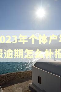 2023年个体户年报逾期怎么补报