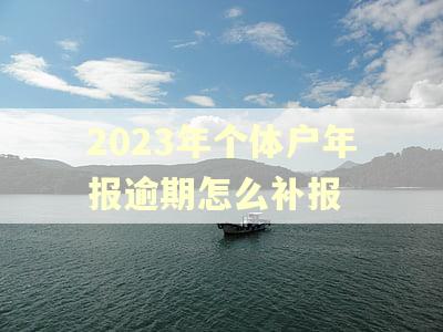 2023年个体户年报逾期怎么补报 2023年个体户年报逾期怎么补报