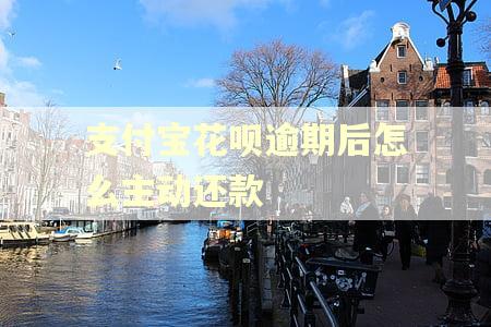 支付宝花呗逾期后怎么主动还款 支付宝花呗逾期后怎么主动还款