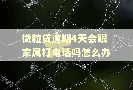 微粒贷逾期4天会跟家属打电话吗怎么办