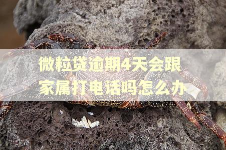 微粒贷逾期4天会跟家属打电话吗怎么办