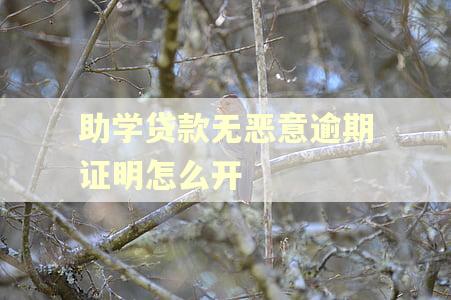 助学贷款无恶意逾期证明怎么开