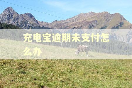 充电宝逾期未支付怎么办