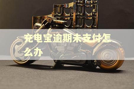 充电宝逾期未支付怎么办