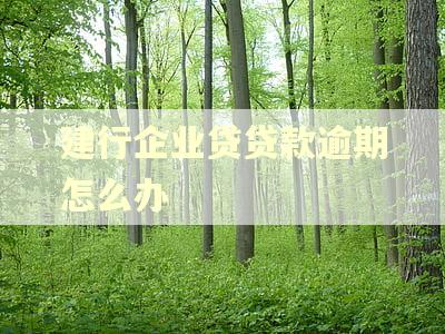 建行企业贷贷款逾期怎么办