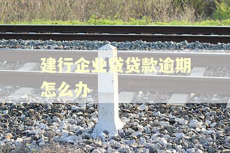 建行企业贷贷款逾期怎么办 建行企业贷贷款逾期怎么办