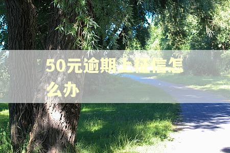 50元逾期上征信怎么办 50元逾期上征信怎么办