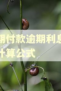 分期付款逾期利息怎么计算公式 分期付款逾期利息怎么计算公式