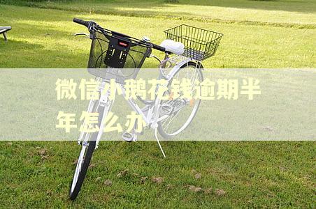 微信小鹅花钱逾期半年怎么办