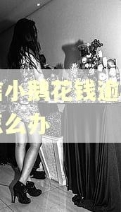 微信小鹅花钱逾期半年怎么办