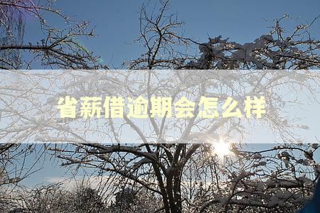 省薪借逾期会怎么样