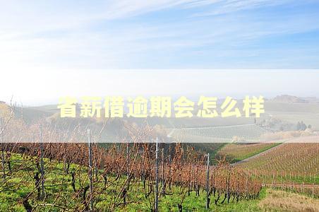 省薪借逾期会怎么样