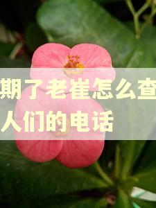逾期了老崔怎么查到亲人们的电话