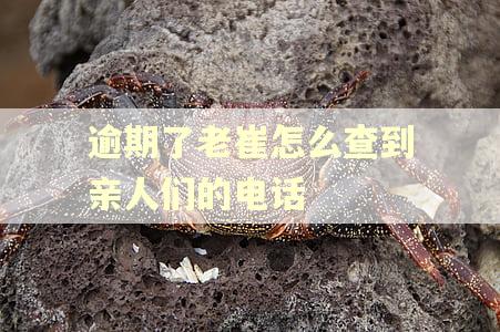 逾期了老崔怎么查到亲人们的电话 逾期了老崔怎么查到亲人们的电话