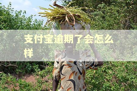 支付宝逾期了会怎么样