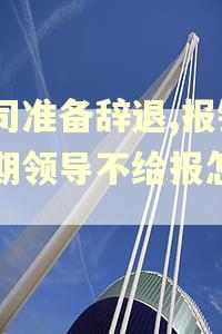 公司准备辞退,报销逾期领导不给报怎么办