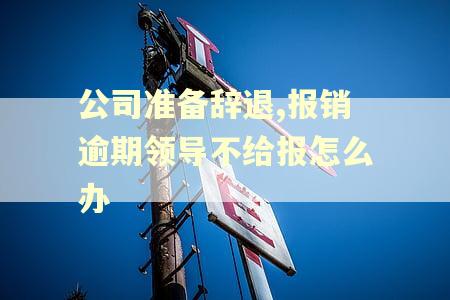 公司准备辞退,报销逾期领导不给报怎么办