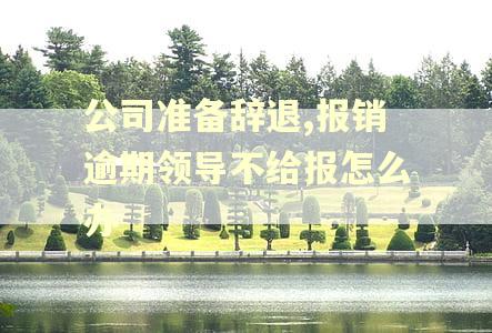 公司准备辞退,报销逾期领导不给报怎么办