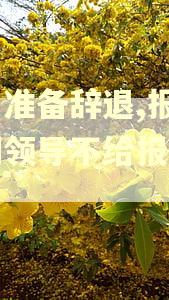 公司准备辞退,报销逾期领导不给报怎么办