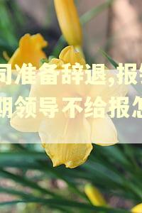 公司准备辞退,报销逾期领导不给报怎么办 公司准备辞退,报销逾期领导不给报怎么办
