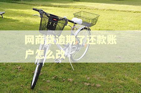 网商贷逾期了还款账户怎么改