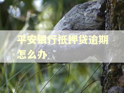 平安银行抵押贷逾期怎么办