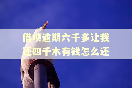借呗逾期六千多让我还四千木有钱怎么还