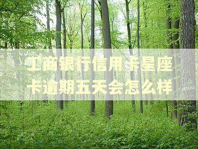 工商银行信用卡星座卡逾期五天会怎么样