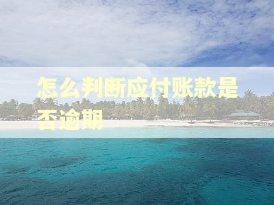 怎么判断应付账款是否逾期