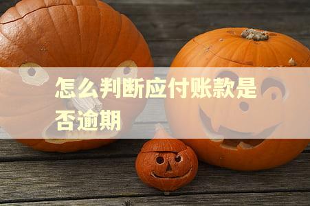 怎么判断应付账款是否逾期