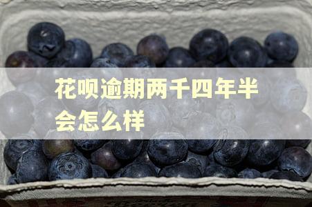 花呗逾期两千四年半会怎么样