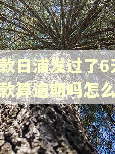 还款日浦发过了6天还款算逾期吗怎么办