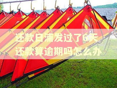 还款日浦发过了6天还款算逾期吗怎么办