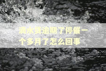 滴水贷逾期了停催一个多月了怎么回事