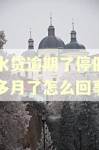 滴水贷逾期了停催一个多月了怎么回事