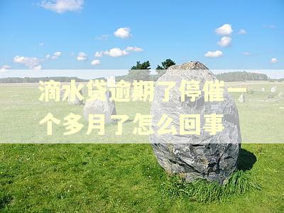 滴水贷逾期了停催一个多月了怎么回事